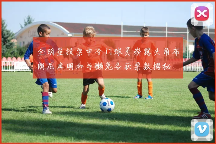 全明星投票中冷门球员崭露头角布朗尼库明加与獭兔各获票数揭秘