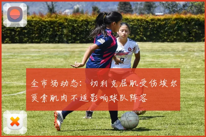 全市场动态：切利克屈肌受伤埃尔莫索肌肉不适影响球队阵容