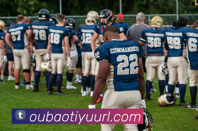 欧宝体育发展历程